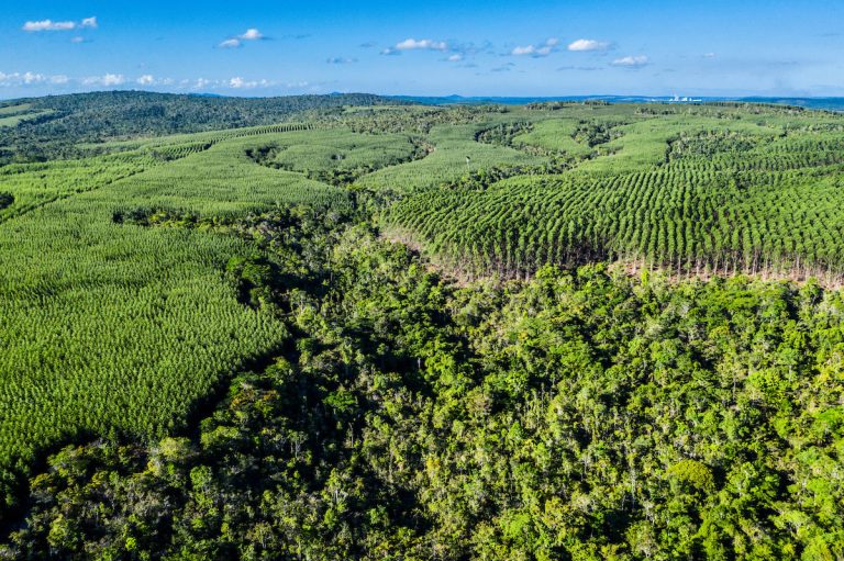 Veracel Celulose na COP30