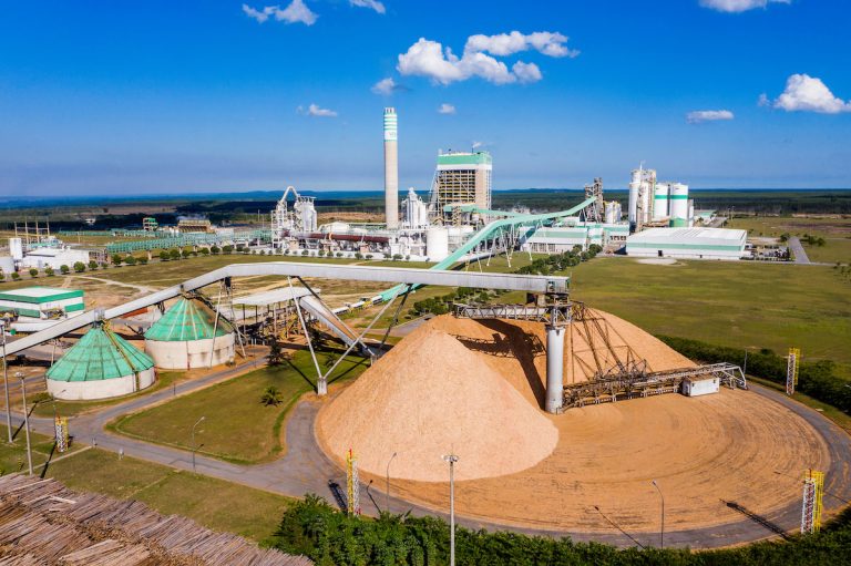 Processos de Reciclagem na Veracel Celulose