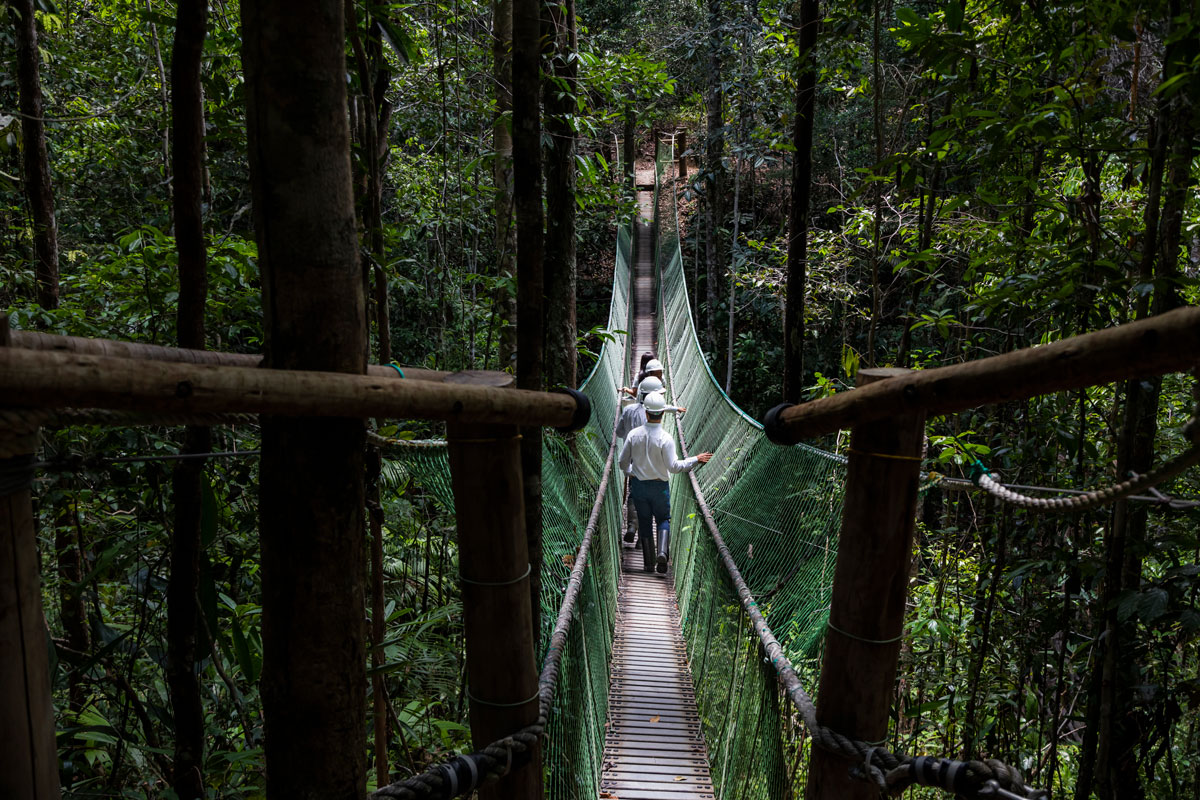 Installation and monitoring of a canopy bridge connecting Atlantic