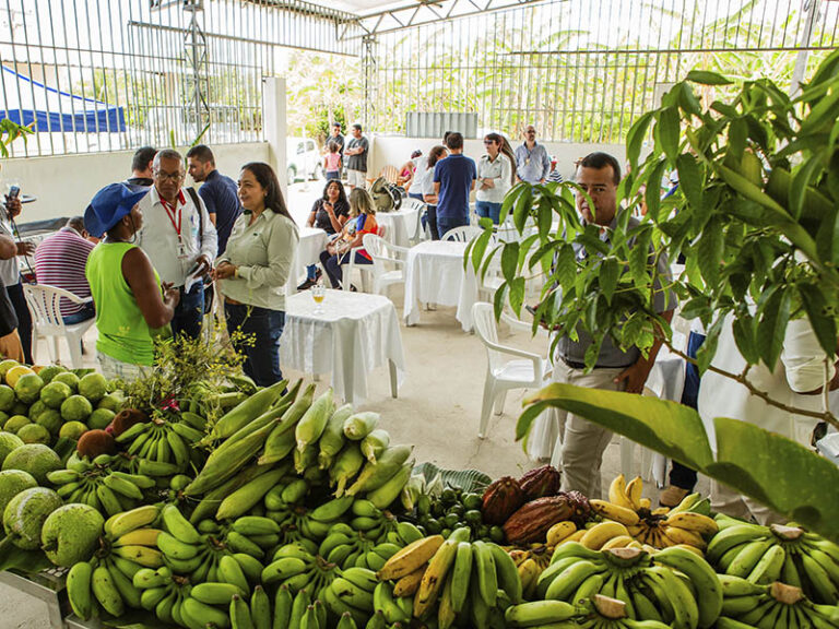 Agricultura Familiar: o impacto positivo da Veracel
